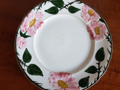 PLATOU VILLEROY &amp;amp; BOCH / WILD ROSE / 26 CM foto