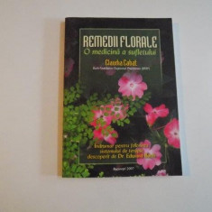 REMEDII FLORALE O MEDICINA A SUFLETULUI de CLAUDIA CABAT , 2007 *PREZINTA HALOURI DE APA