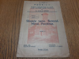 SFINTELE TAINE. BOTEZUL. MIRUL. POCAINRA - Nicolae Brinzeu - 1933, 16 p.