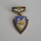 QW9 L 8 - Insigna - tematica comunism - Fruntas in gospodarirea orasului an 1974