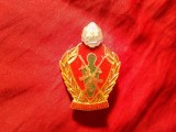 Insigna Militara - Tragator de elita , h=5cm , metal si email