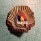 Insigna ARLUS 1944 1954