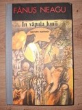 In vapaia lunii - Fanus Neagu, Editura Albatros, 1988, Roman