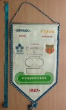 Supercupa 1987 a echipei Dinamo Kiev - Steaua București
