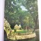 QW23 B - Carte postala - tematica turism - vedere - Romania - Bortosani 2