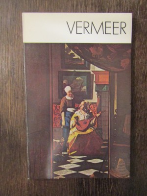 VERMEER-MICHAL WALICKI foto