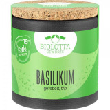 Busuioc Maruntit Eco 15 grame BioLotta