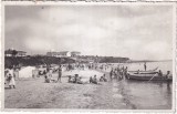 Baile Mangalia (necirculata)