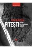 Pitesti, cronica unei sinucideri asistate - Alin Muresan