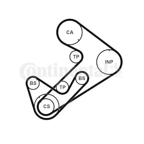 Continental Ctam Set curea de distributie