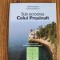 Sub ocrotirea Celui Prea&icirc;nalt - Vasile Fereșteanu