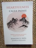 Heartfulness Calea Inimii, Kamlesh D. Patel, Joshua Pollock