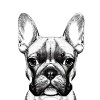 Sticker decorativ Caine Bulldog, Negru, 78 cm, 7808ST, Oem