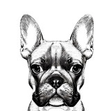 Sticker decorativ Caine Bulldog, Negru, 78 cm, 7808ST