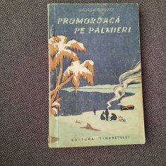 G.Gurevici -Promoroaca pe Palmieri - 1956 ,SF RF16/2