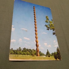 CARTE POSTALA TG.JIU -COLOANA INFINITULUI CIRCULATA