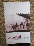 Iana Maravis - Drumul ecvestru (2001, grafica si fotografii de Nicu Ilfoveanu)