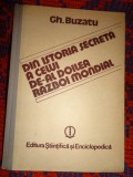 Gh.Buzatu - Din istoria celui de-al doilea razboi mondial - volumul 1 /390 pagini