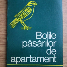 Franz Robiller - Bolile pasarilor de apartament