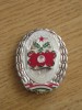 QW9 N 34 - insigna - militara - Ungaria - Elenjaro Szackszparanosnok - Specialist, Europa