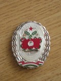 QW9 N 34 - insigna - militara - Ungaria - Elenjaro Szackszparanosnok - Specialist