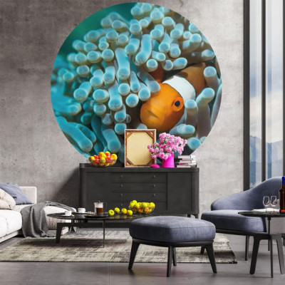 WallArt Tapet &amp;icirc;n forma de cerc &amp;bdquo;Nemo the Anemonefish&amp;rdquo;, 190 cm GartenMobel Dekor foto