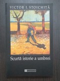 Scurta Istorie a Umbrei - Victor Ieronim Stoichita - Autograf, Humanitas, Istoria Artei