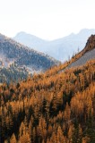 Tablou Canvas, "Toamna &icirc;n munții &icirc;ndepărtați ai naturii", Munți, Pădure, Toamnă, Aurii, Liniște, Natură, V&acirc;rfuri, Cer, Peisaj, Frumusețe, 26 x 39 cm,