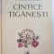 CANTICE TIGANESTI de MIRON RADU PARASCHIVESCU ,editie ilustrata de MARCEL CHIRNOAGA