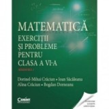 Matematica. Exercitii si probleme pentru clasa a VI-a. Semestrul I
