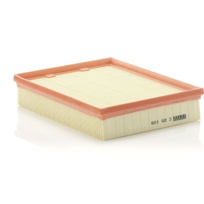 Filtru aer Mann-Filter C25109 foto