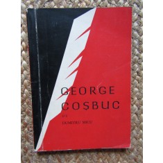 GEORGE COSBUC-DUMITRU MICU
