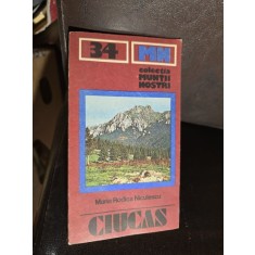 Muntii Ciucas - Maria Rodica Niculescu