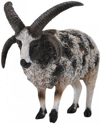 Figurina Jacob Sheep L Collecta foto