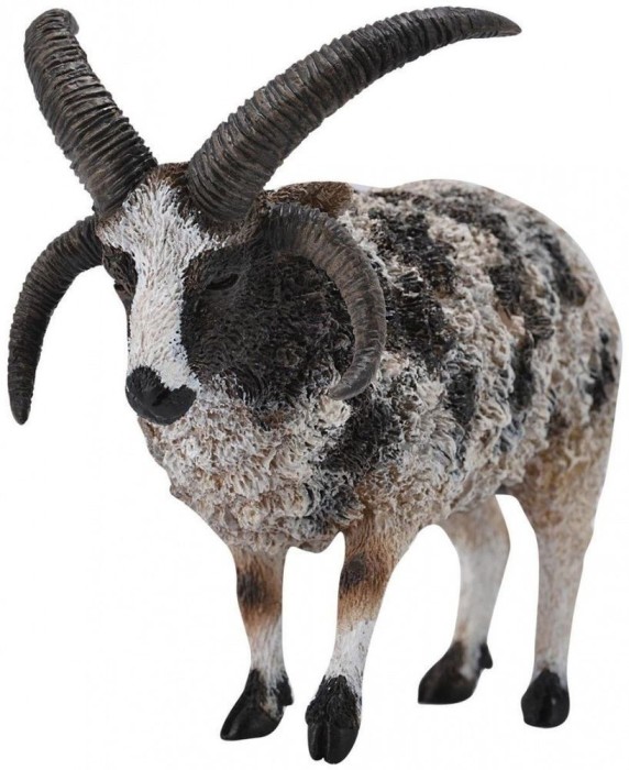 Figurina Jacob Sheep L Collecta