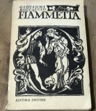 LITR1 Literatura Fiammetta