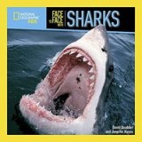 Face to Face with Sharks