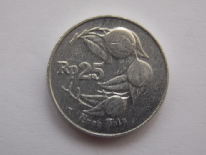 25 RUPIAH 1995 INDONEZIA