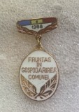 Insigna fruntaș &icirc;n gospodărirea comunei 1988
