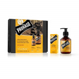 Set Ingrijire Barba - Ulei + Sampon PRORASO - Wood and Spice