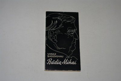 Badia Mihai - Vasile Sadoveanu foto