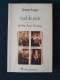 Asul de pica: Stefan Aug. Doinas &ndash; George Neagoe