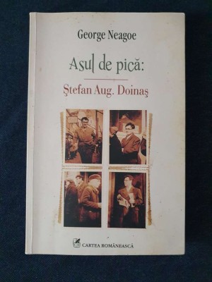 Asul de pica: Stefan Aug. Doinas &amp;ndash; George Neagoe foto