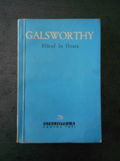 JOHN GALSWORTHY - MARUL IN FLOARE foto