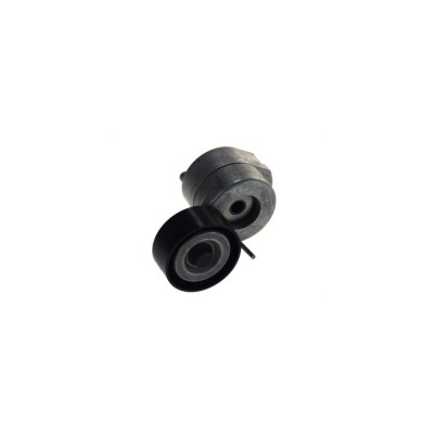 Intinzator curea OPEL CORSA C F08 F68 DAYCO APV1078 foto