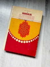 Manualul bijutierului &ndash; Guy Ionescu &ndash; Ediția 1974 &ndash; Carte rară tehnică