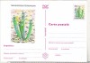 Bnk cp Cactusi - necirculata - marca fixa - 022/97