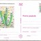 bnk cp Cactusi - necirculata - marca fixa - 022/97