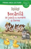 Bocanila se joaca cu numere si forme. Carte cu despartiri in silabe