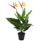 Gossi planta artificiala strelitzia reginae pasarea paradisului 66 cm